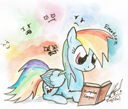 Size: 1164x994 | Tagged: safe, artist:digiral, derpibooru import, rainbow dash, pegasus, pony, bahasa indonesia, book, indonesian, prone, reading, solo, traditional art, watercolor painting