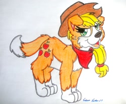 Size: 1398x1146 | Tagged: safe, artist:silversimba01, applejack, dog, appledog, bandana, dogified, solo, species swap, traditional art