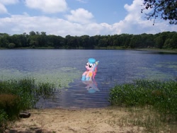 Size: 2832x2128 | Tagged: safe, artist:flutterboom, artist:wolfgangthe3rd, pinkie pie, forest, irl, photo, pond, ponies in real life, reflection, snorkel, solo, swimming, vector, wet mane