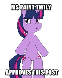 Size: 367x459 | Tagged: safe, derpibooru import, twilight sparkle, pony, bipedal, image macro, impact font, meme, ms paint, solo