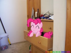Size: 2832x2128 | Tagged: safe, artist:wolfgangthe3rd, pinkie pie, door, dresser, irl, photo, ponies in real life, solo, vector