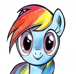 Size: 1982x1940 | Tagged: safe, artist:zdrer456, derpibooru import, rainbow dash, pegasus, pony, bust, looking at you, portrait, solo