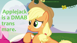 Size: 1280x720 | Tagged: safe, applejack, earth pony, pony, diverse-mlp-headcanons, redundant, social justice, tumblr