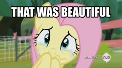 Size: 606x338 | Tagged: safe, screencap, fluttershy, pegasus, pony, image macro, meme, solo