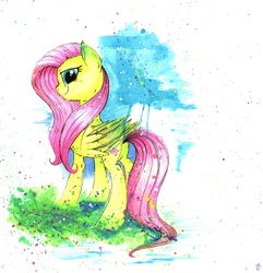Size: 4209x4361 | Tagged: safe, artist:yellowrobin, fluttershy, pegasus, pony, absurd resolution, fluffy, solo