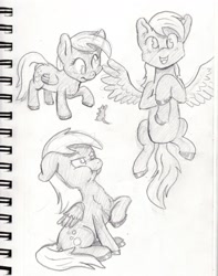 Size: 1280x1621 | Tagged: safe, artist:lost marbles, derpy hooves, pegasus, rat, pencil drawing, traditional art