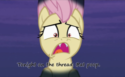 Size: 500x309 | Tagged: safe, artist:insaneponythread, fluttershy, bat poop, caption, flutterbat, insane pony thread