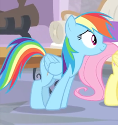 Size: 522x556 | Tagged: safe, derpibooru import, screencap, fluttershy, rainbow dash, pegasus, pony, teacher of the month (episode), spoiler:interseason shorts, cropped, female, offscreen character, smiling, wings