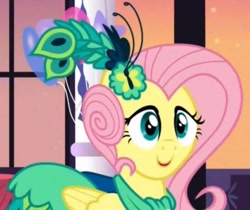 Size: 544x456 | Tagged: safe, screencap, fluttershy, pegasus, pony, make new friends but keep discord, animation error, face