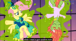 Size: 1600x855 | Tagged: safe, edit, edited screencap, screencap, fluttershy, tree hugger, pegasus, pony, make new friends but keep discord, bottomless, caption, clothes, dress, featureless crotch, gala dress, meme, youtube caption