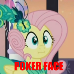 Size: 440x440 | Tagged: safe, screencap, fluttershy, pegasus, pony, make new friends but keep discord, :i, exploitable meme, grand galloping gala, meme, poker face, we bought two cakes