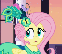 Size: 800x700 | Tagged: safe, screencap, fluttershy, pegasus, pony, make new friends but keep discord, :i, animated, cute, face, meme, shyabetes, we bought two cakes