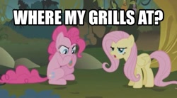 Size: 606x334 | Tagged: safe, screencap, fluttershy, pinkie pie, earth pony, pegasus, pony, bridle gossip, image macro, meme, text