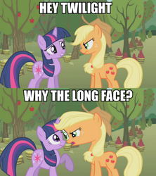 Size: 1000x1125 | Tagged: safe, edit, edited screencap, screencap, applejack, twilight sparkle, earth pony, pony, image macro, meme, why the long face