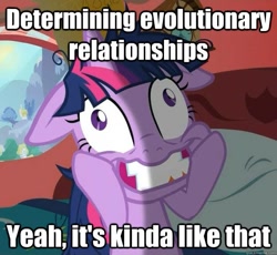 Size: 625x574 | Tagged: safe, derpibooru import, edit, edited screencap, screencap, twilight sparkle, lesson zero, caption, cropped, evolution, floppy ears, image macro, insanity, meme, solo, twilight snapple