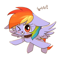 Size: 1100x1100 | Tagged: safe, artist:joycall6, derpibooru import, rainbow dash, pegasus, pony, behaving like a dog, collar, solo, wink