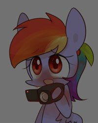 Size: 800x1000 | Tagged: safe, artist:joycall6, derpibooru import, rainbow dash, pegasus, pony, outlast, solo, video camera