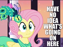 Size: 800x600 | Tagged: safe, edit, edited screencap, screencap, fluttershy, pegasus, pony, make new friends but keep discord, :i, alternate hairstyle, caption, clothes, dress, faic, female, gala dress, grand galloping gala, image macro, mare, reaction image, solo, we bought two cakes