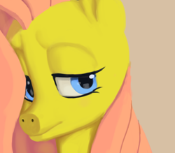 Size: 800x700 | Tagged: safe, artist:tippycat, fluttershy, pegasus, pony, female, mare, pink mane, solo, yellow coat