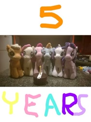 Size: 480x637 | Tagged: safe, derpibooru import, applejack, fluttershy, pinkie pie, rainbow dash, rarity, twilight sparkle, twilight sparkle (alicorn), alicorn, pony, candle, cupcake, female, happy birthday mlp:fim, hostess, irl, mare, mlp fim's fifth anniversary, photo, plushie