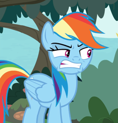 Size: 791x825 | Tagged: safe, derpibooru import, screencap, rainbow dash, pegasus, pony, non-compete clause, angry, cropped, female, gritted teeth, mare