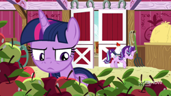 Size: 1280x720 | Tagged: safe, screencap, starlight glimmer, twilight sparkle, twilight sparkle (alicorn), alicorn, bird, chicken, pony, unicorn, harvesting memories, spoiler:harvesting memories, spoiler:mlp friendship is forever, apple, barn, book, food, hay bale, pitchfork