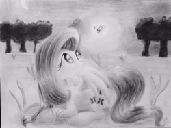 Size: 2592x1936 | Tagged: safe, artist:lortstreet54, fluttershy, firefly (insect), pegasus, pony, grayscale, looking at something, looking up, lying down, monochrome, pencil drawing, solo, traditional art