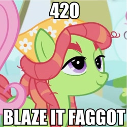 Size: 601x601 | Tagged: safe, fluttershy, tree hugger, pegasus, pony, make new friends but keep discord, 420, blaze it, faggot, image macro, meme, slur, vulgar