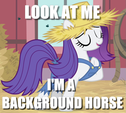 Size: 717x642 | Tagged: safe, edit, edited screencap, screencap, rarity, pony, unicorn, simple ways, background pony, background pony applejack, caption, image macro, meme, mocking, op is a cuck, op is trying to start shit, rarihick, solo