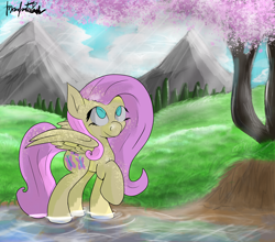 Size: 2500x2200 | Tagged: safe, artist:manfartwish, fluttershy, pegasus, pony, cherry blossoms, flower, flower blossom, looking up, mountain, solo, water