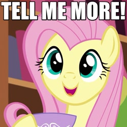 Size: 575x575 | Tagged: safe, screencap, fluttershy, pegasus, pony, make new friends but keep discord, caption, cute, excited, female, happy, image macro, mare, open mouth, reaction image, shyabetes, smiling, solo, tea