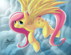 Size: 1024x791 | Tagged: safe, artist:xtreme9nahual, fluttershy, pegasus, pony, female, mare, pink mane, solo, yellow coat