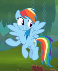 Size: 511x629 | Tagged: safe, derpibooru import, screencap, rainbow dash, pegasus, pony, the end in friend, cropped, cute, female, flying, smiling, solo