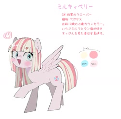 Size: 1623x1594 | Tagged: useless source url, safe, artist:destroyer_aky, derpibooru import, oc, oc only, pegasus, pony, female, heart, japanese, looking at you, mare, open mouth, reference sheet, smiling, solo, solo female, spread wings, wide eyes, wings