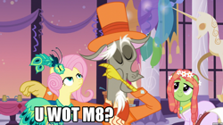 Size: 1270x710 | Tagged: safe, screencap, discord, fluttershy, tree hugger, pegasus, pony, make new friends but keep discord, caption, image macro, meme, reaction image, u wot m8