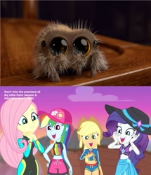 Size: 1660x1926 | Tagged: safe, derpibooru import, edit, screencap, applejack, fluttershy, rainbow dash, rarity, spider, aww... baby turtles, better together, equestria girls, beach, clothes, geode of fauna, geode of shielding, geode of super speed, geode of super strength, jumping spider, lucas the spider, magical geodes, reaction, reaction image, swimsuit