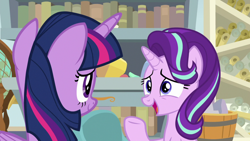 Size: 1920x1080 | Tagged: safe, screencap, starlight glimmer, twilight sparkle, twilight sparkle (alicorn), alicorn, pony, unicorn, a horse shoe-in, book, bookshelf, duo, female, globe, mare, scroll, starlight's office