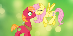 Size: 1460x724 | Tagged: safe, artist:semperfelicem, big macintosh, fluttershy, earth pony, pegasus, pony, blushing, boop, fluttermac, male, shipping, stallion, straight