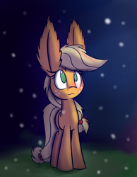 Size: 700x900 | Tagged: safe, artist:heir-of-rick, applejack, earth pony, pony, daily apple pony, ear fluff, impossibly large ears, night, solo