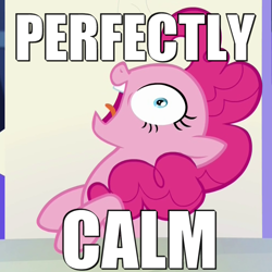 Size: 1000x1000 | Tagged: safe, screencap, pinkie pie, earth pony, pony, party pooped, blatant lies, image macro, meme, perfectly calm