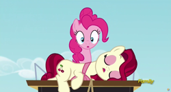 Size: 1600x855 | Tagged: safe, screencap, cherry jubilee, pinkie pie, earth pony, pony, party pooped, discovery family logo