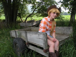 Size: 3648x2736 | Tagged: safe, artist:madameterralupus, applejack, human, boots, cosplay, hat, high res, irl, irl human, photo, solo, wagon