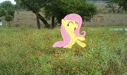 Size: 665x396 | Tagged: safe, artist:drpain, fluttershy, city, garden, happy, irl, open mouth, photo, ponies in real life, solo