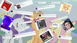 Size: 1920x1080 | Tagged: safe, applejack, fluttershy, rarity, anti-brony, butthurt, cry some more, facebook, hater, haters, haters gonna hate, humble bundle, obligatory pony, text, twitter, vulgar