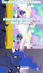 Size: 500x844 | Tagged: safe, edit, edited screencap, screencap, princess celestia, princess luna, twilight sparkle, alicorn, pony, image macro, meme, misspelling, poor taste