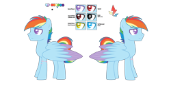 Size: 6472x3312 | Tagged: safe, artist:dashblitzfan4ever, derpibooru import, rainbow blitz, rainbow dash, pegasus, pony, male, reference sheet, rule 63, simple background, solo, stallion, transparent background