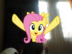 Size: 1600x1200 | Tagged: safe, artist:nsdrift, fluttershy, irl, morning, photo, ponies in real life