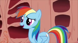 Size: 1280x720 | Tagged: safe, derpibooru import, screencap, rainbow dash, pegasus, pony, sonic rainboom (episode), female, golden oaks library, mare, raised eyebrow, solo