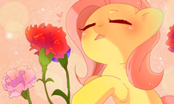 Size: 854x512 | Tagged: safe, artist:miki 14, fluttershy, pegasus, pony, :<, cute, eyes closed, female, flower, heart, mare, open mouth, shyabetes, solo