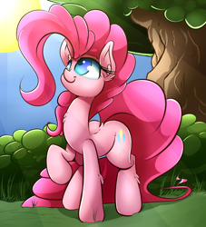 Size: 3000x3300 | Tagged: safe, artist:madacon, pinkie pie, earth pony, pony, chest fluff, raised hoof, solo